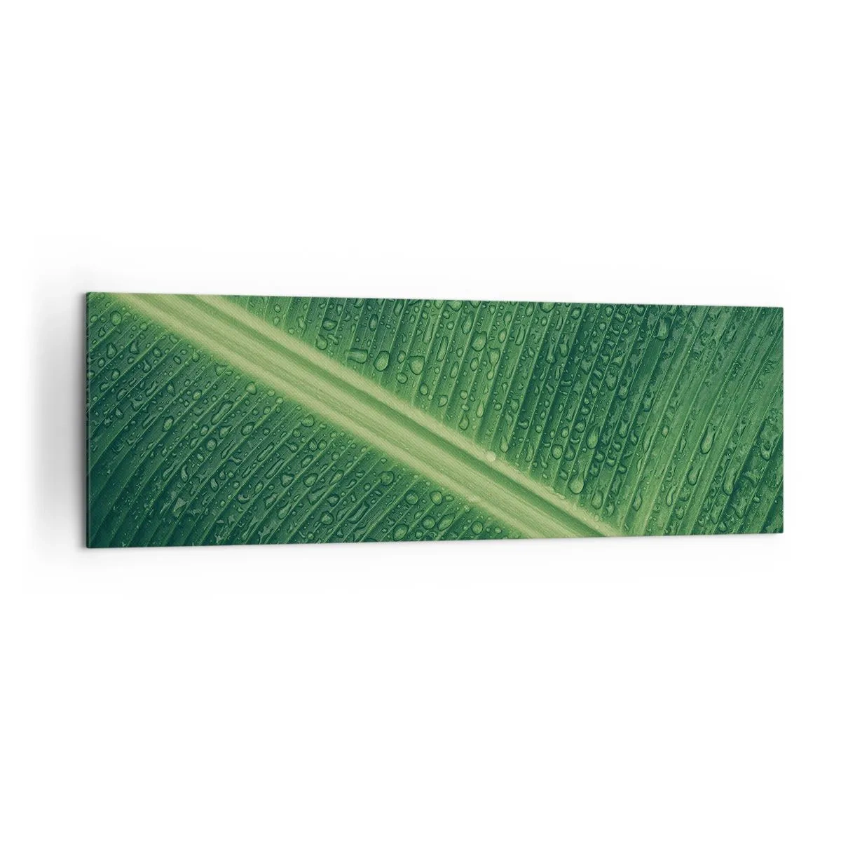 Obraz na plátne - Štruktúra zelenej - 160x50 cm
