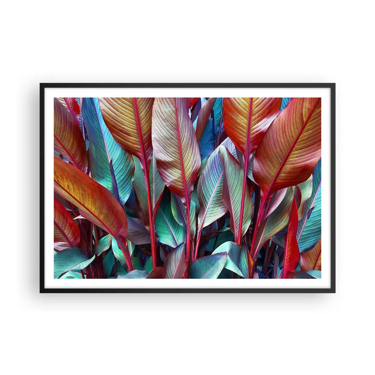 Plagát v čiernom ráme - Farebná húština - 100x70 cm