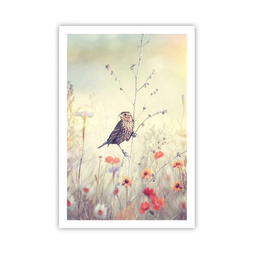 Plagát - Portrét vtáka s lúkou v pozadí - 61x91 cm
