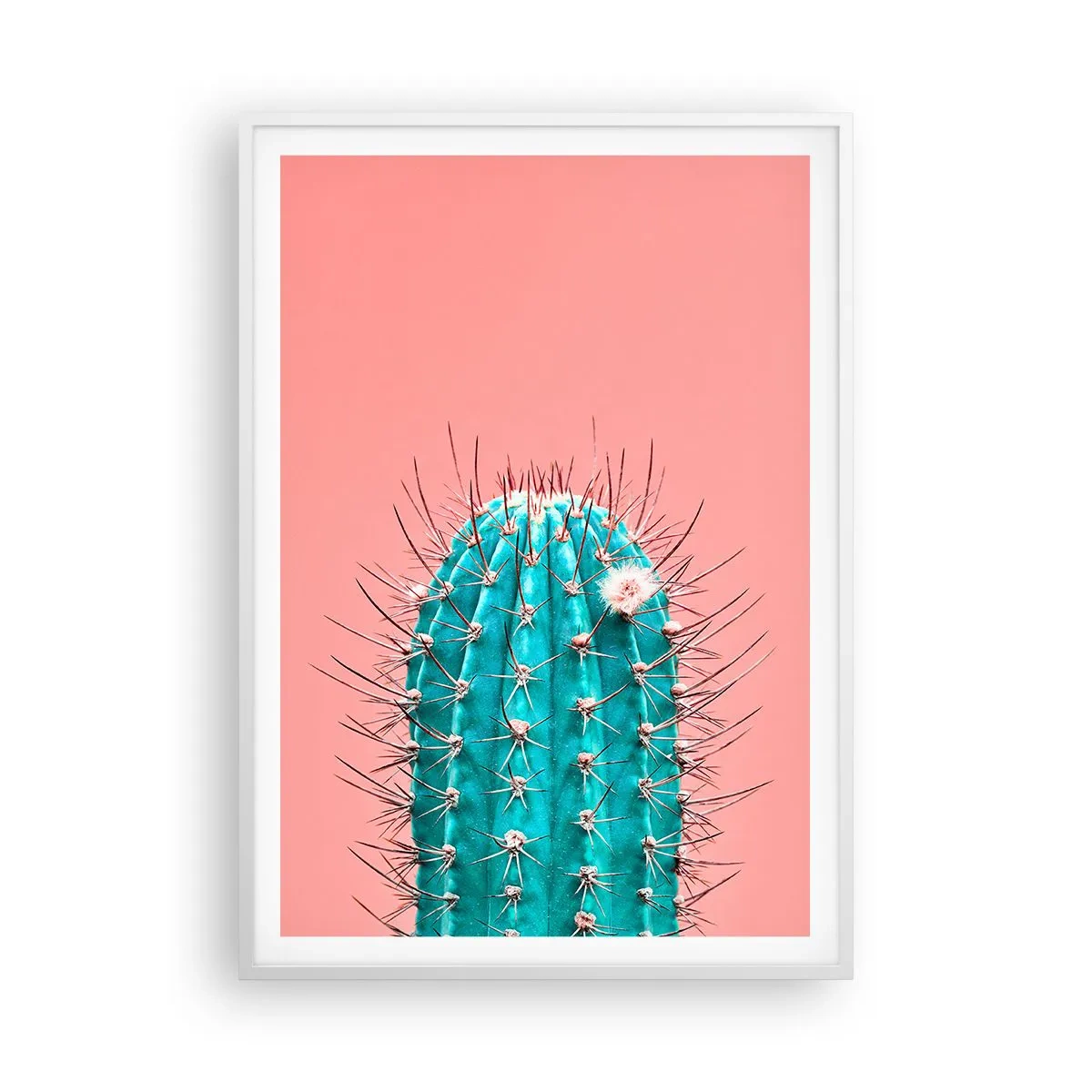 Plagát v bielom ráme - Len pozeraj - 70x100 cm