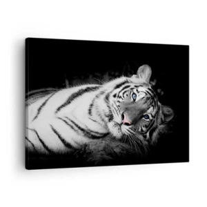 Obraz na plátne - Umelecky vykreslený biely tiger na čiernom pozadí - 70x50cm - Divočina a pokoj - Moderná nástenná dekorácia do obývacej izby a spálne ARTTOR