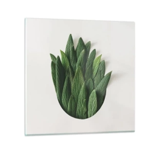 Obraz na skle - Neukojiteľná zvedavosť - 50x50 cm