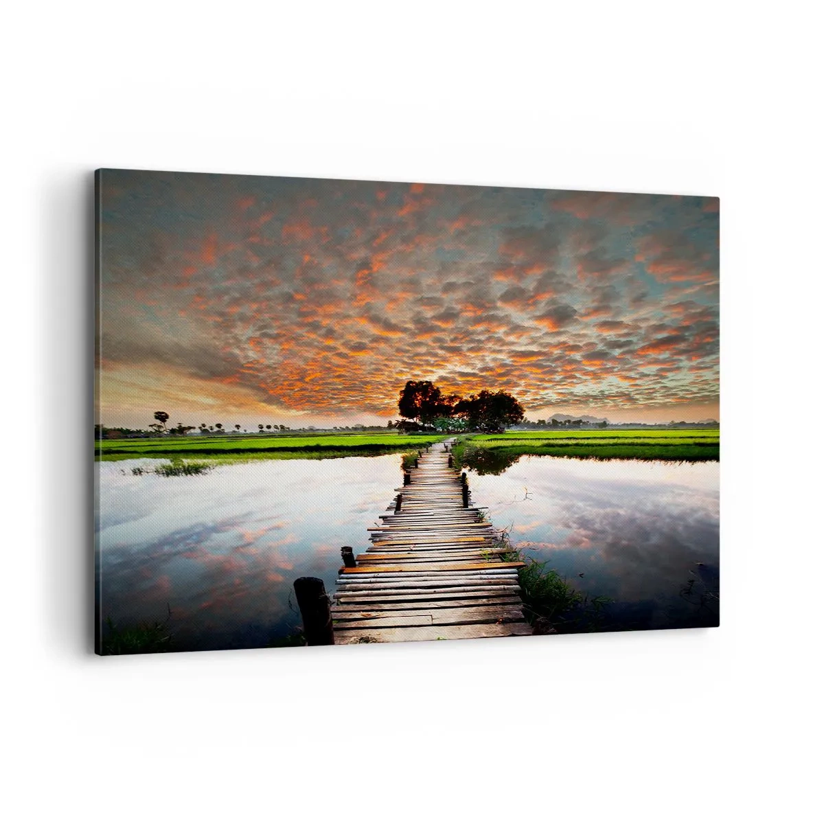 Obraz na plátne - Roztiahnite ruky - dýchajte  - 100x70 cm