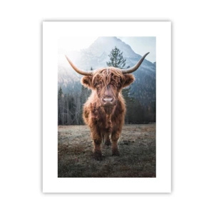 Plagát - Pozdravy z horskej lúky - 30x40 cm