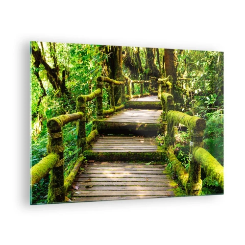 Obraz na skle - Drevený chodník v zelenom lese pokrytom machom - 70x50cm - Chodbou zelene - Moderná nástenná dekorácia do obývacej izby a spálne ARTTOR