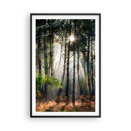 Plagát v čiernom ráme - Lesná divočina - 61x91 cm