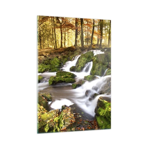 Obraz na skle - Chvatom jesenným lesom - 50x70 cm