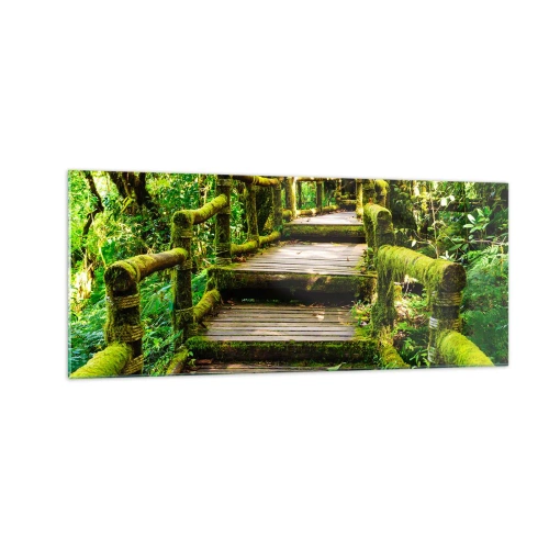 Obraz na skle - Chodbou zelene - 100x40 cm
