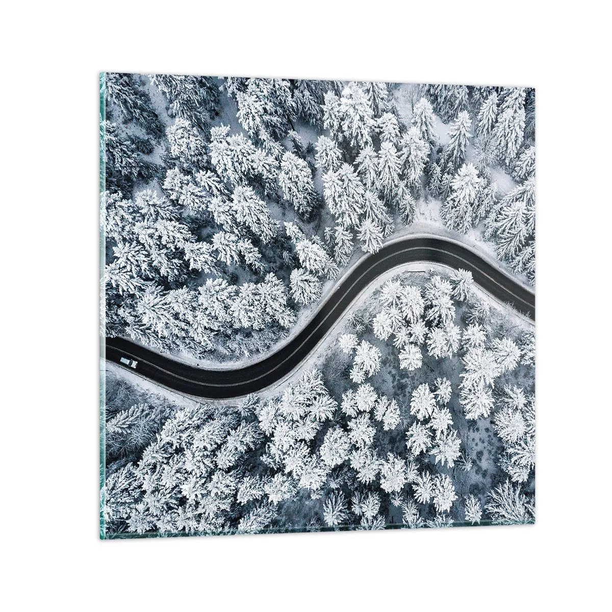 Obraz na skle - Zimným lesom - 60x60 cm