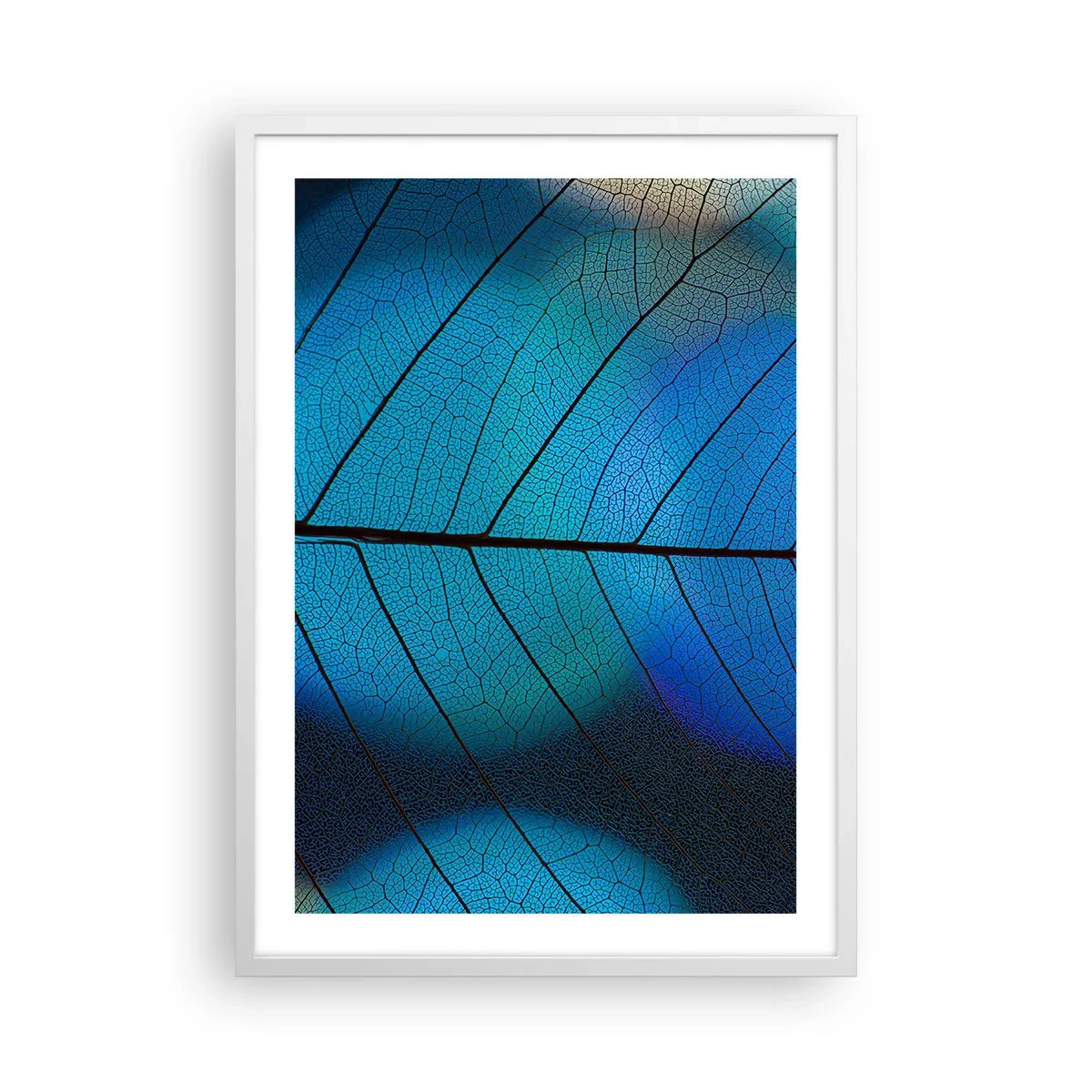 Plagát v bielom ráme - Až do detailov - 50x70 cm