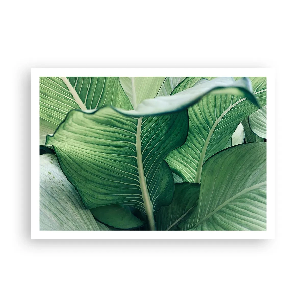 Plagát - Intenzívne zelený život - 100x70 cm