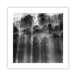 Plagát - V lúčoch svetla - 40x40 cm