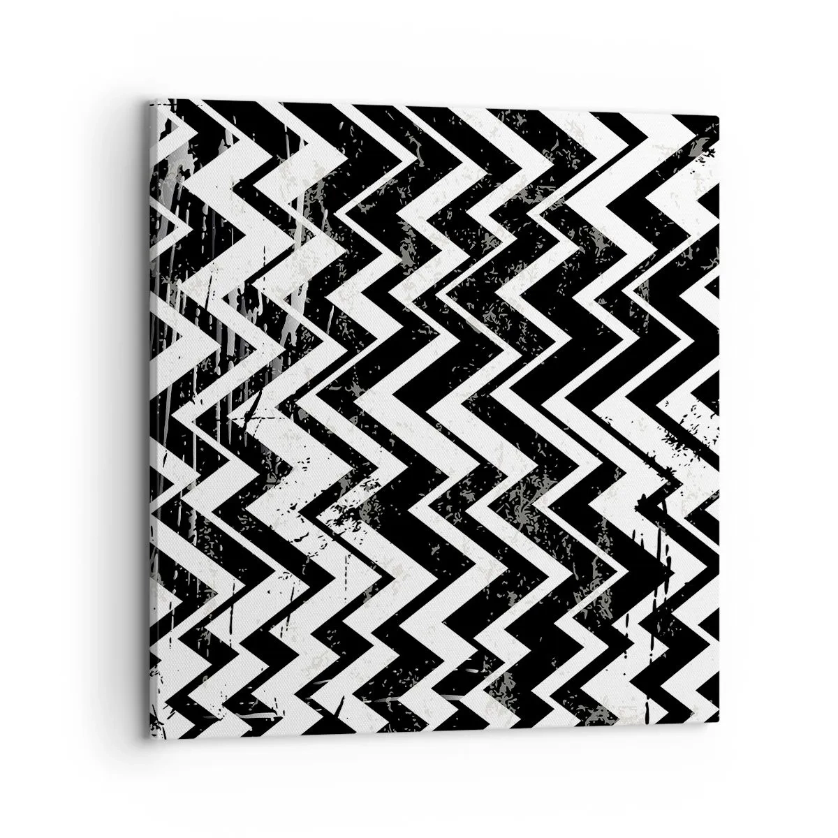 Obraz na plátne - Cik-biele, cik-čierne - 70x70 cm