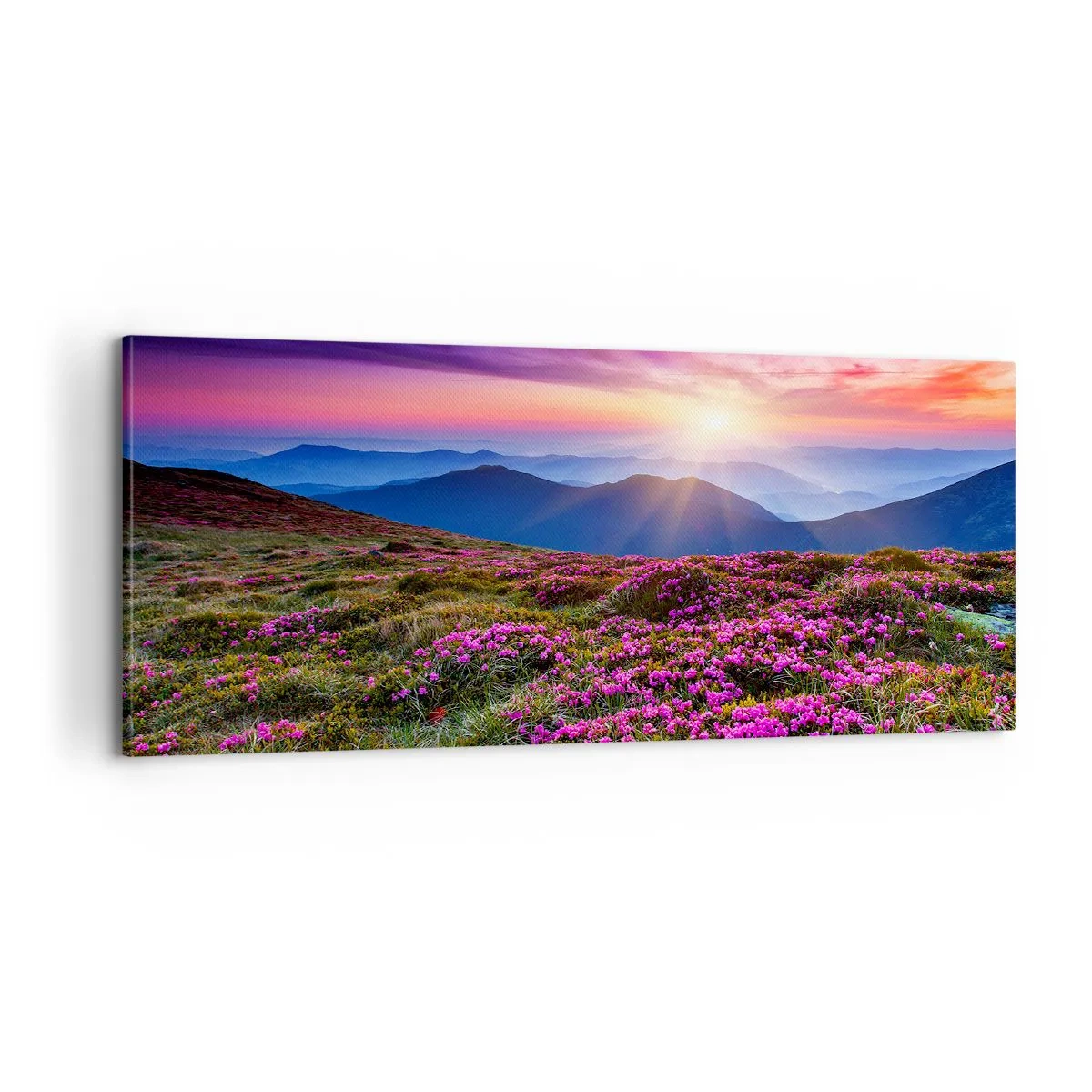 Obraz na plátne - Zavoňali svieže púčiky byliniek z obilných polí - 100x40 cm