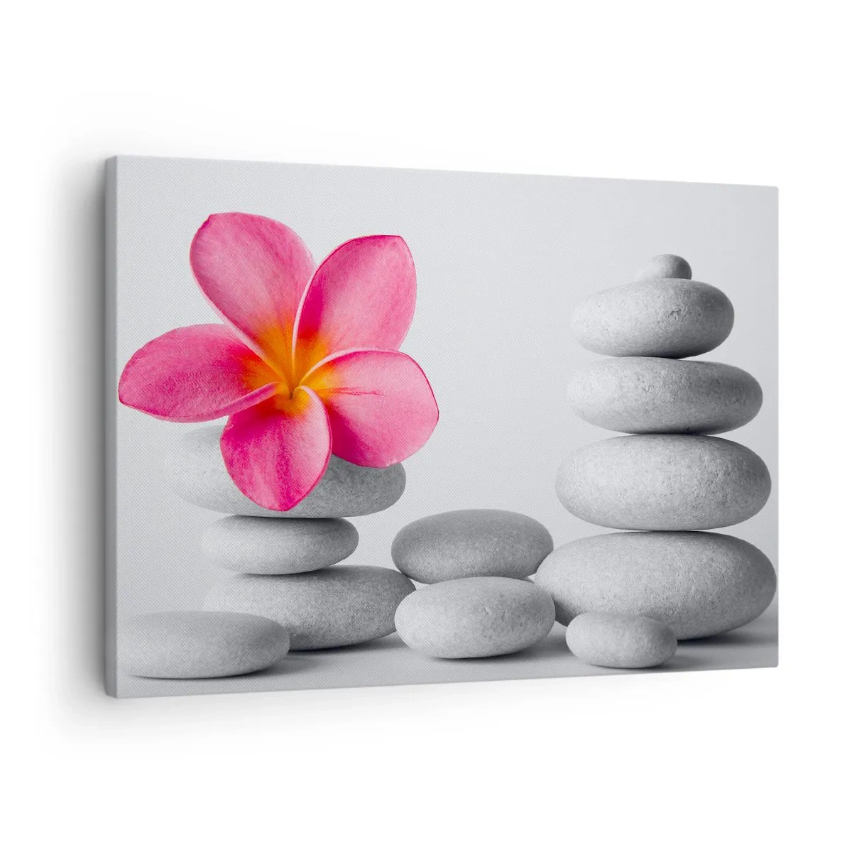 Obraz na plátne - Ružový kvet na kameňoch v štýle zen - 70x50cm - Kameň na kameni, a na tom kameni… - Moderná nástenná dekorácia do obývacej izby a spálne ARTTOR