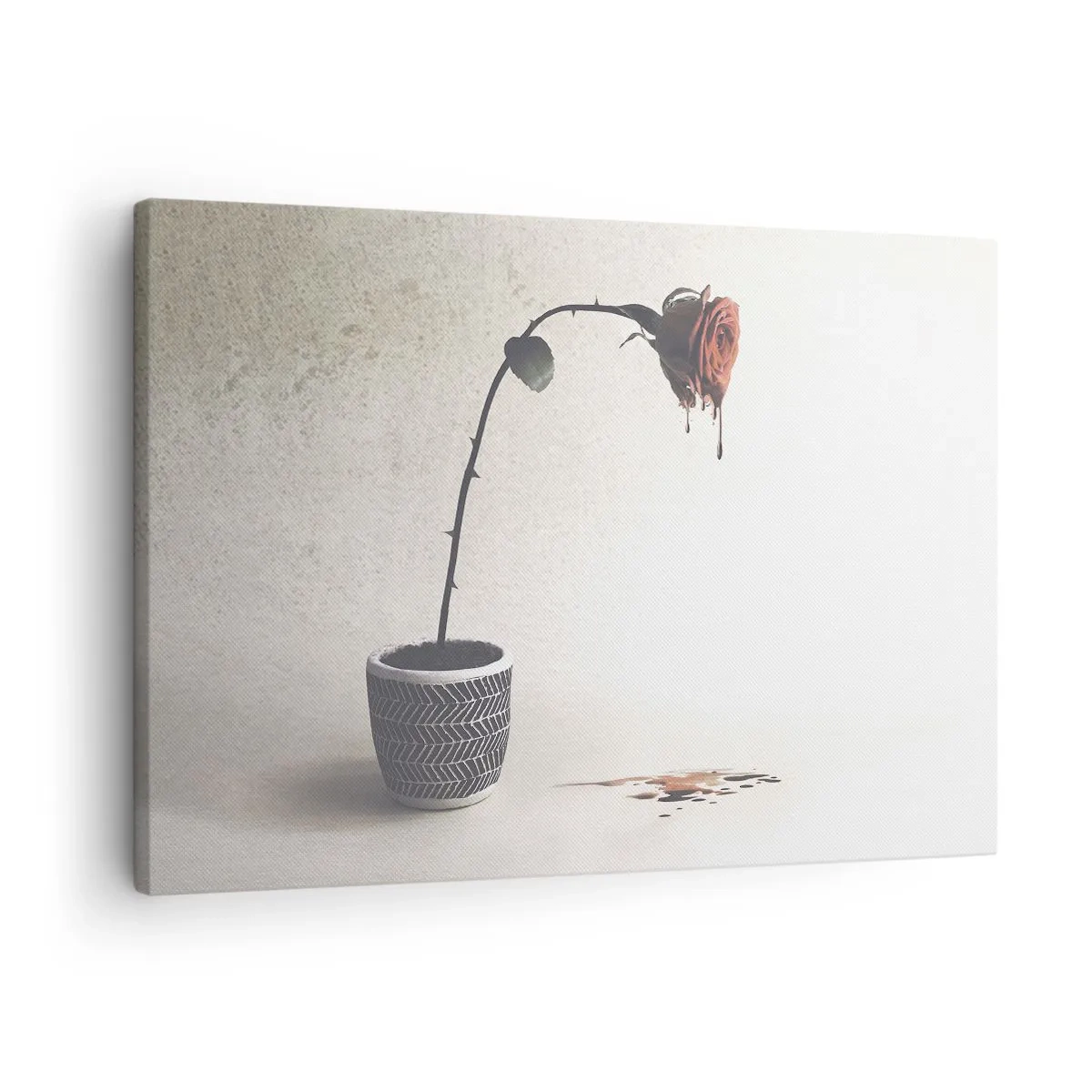 Obraz na plátne - Červená ruža v kvetináči s kvapkami farbiva na bielom pozadí - 70x50cm - Rosa dolorosa - Moderná nástenná dekorácia do obývacej izby a spálne ARTTOR