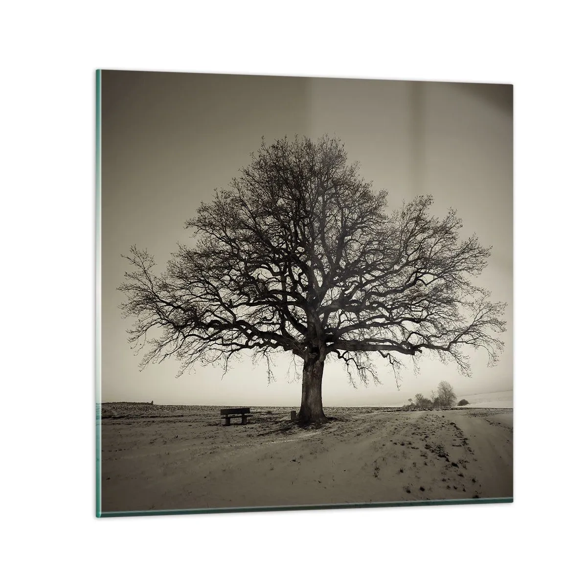 Obraz na skle - Odtiaľ až do večnosti - 30x30 cm