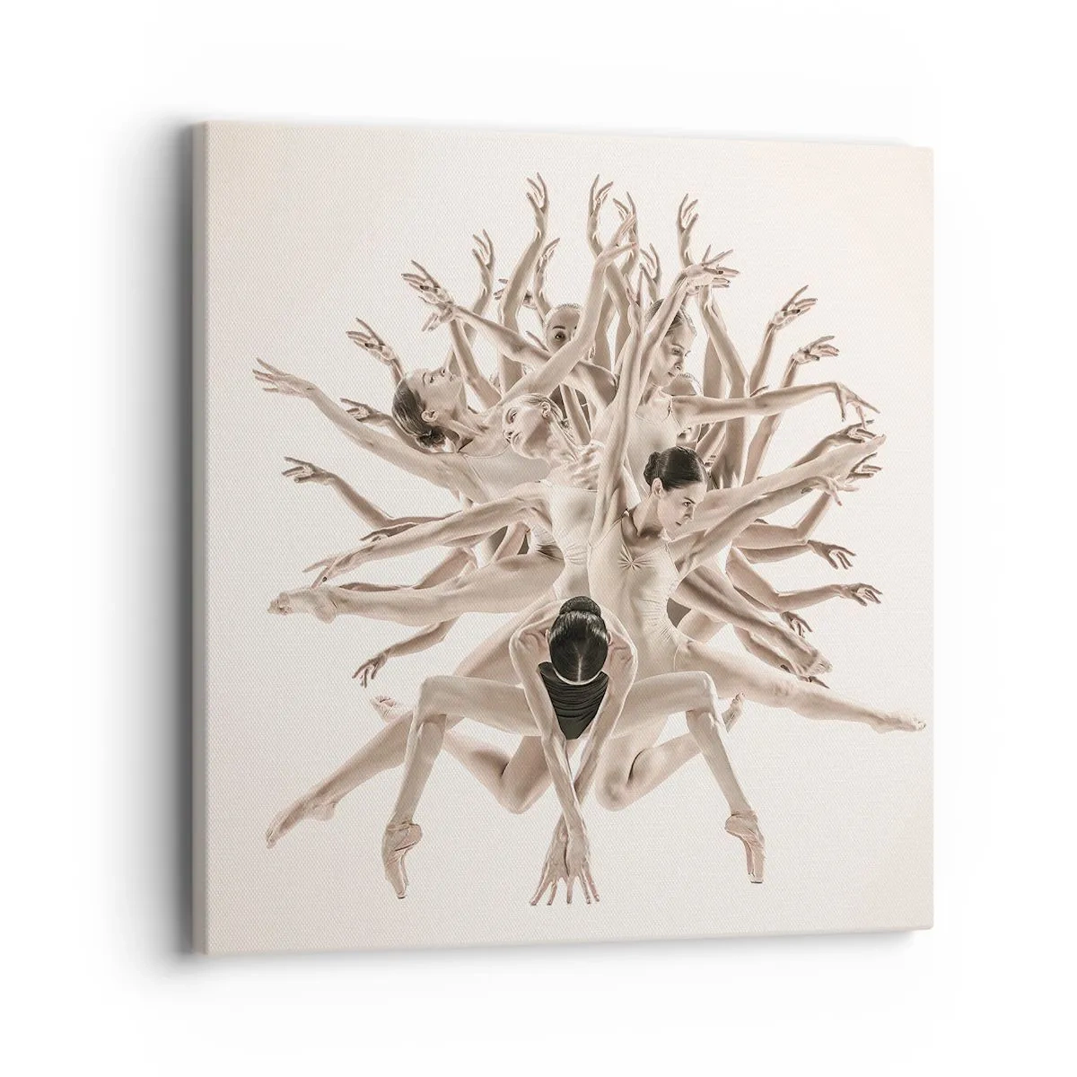 Obraz na plátne - Rozkvet v tanci - 40x40 cm