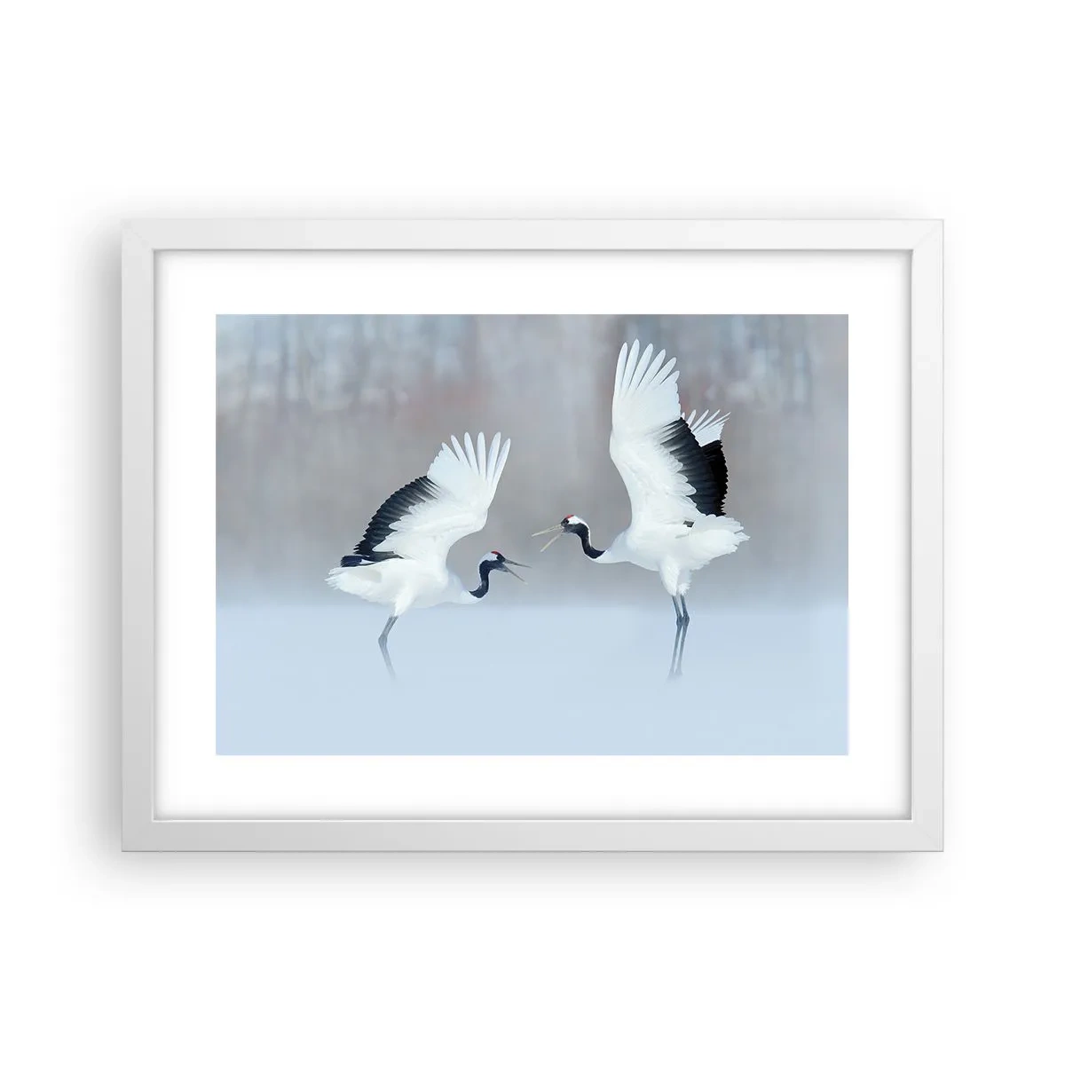 Plagát v bielom ráme - Tanec v hmle - 40x30 cm