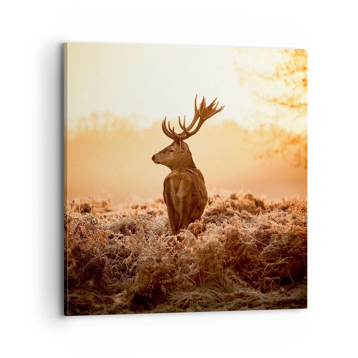 Obraz na plátne - Pán na panstve - 70x70 cm