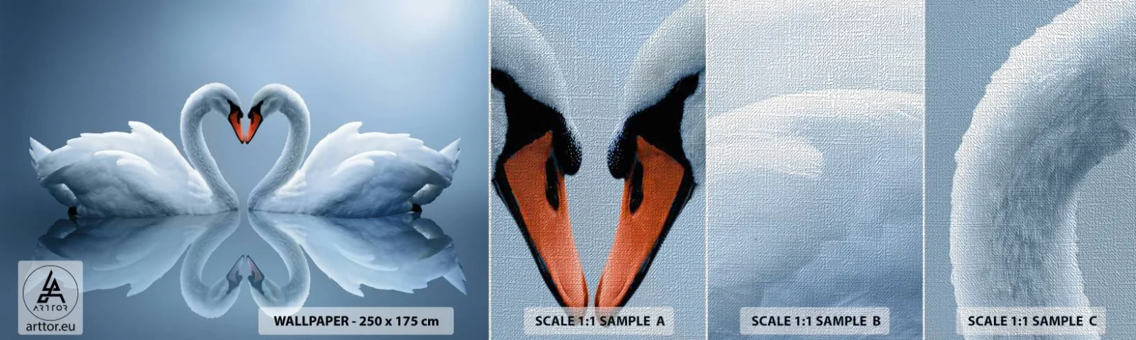 Vzorka fototapety Premium Canvas - Čas na lásku - Labute, Láska, Srdce - 100x30 cm