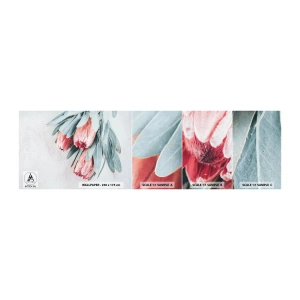 Vzorka Fototapeta Standard Eco - Zahanbené svojou vlastnou krásou - Kvetina, Royal Protea, Afriky - 100x30 cm