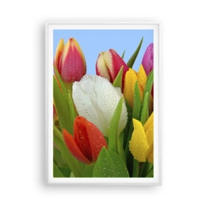 Plagát v bielom ráme - Kvetinová dúha v kvapkách rosy - 70x100 cm