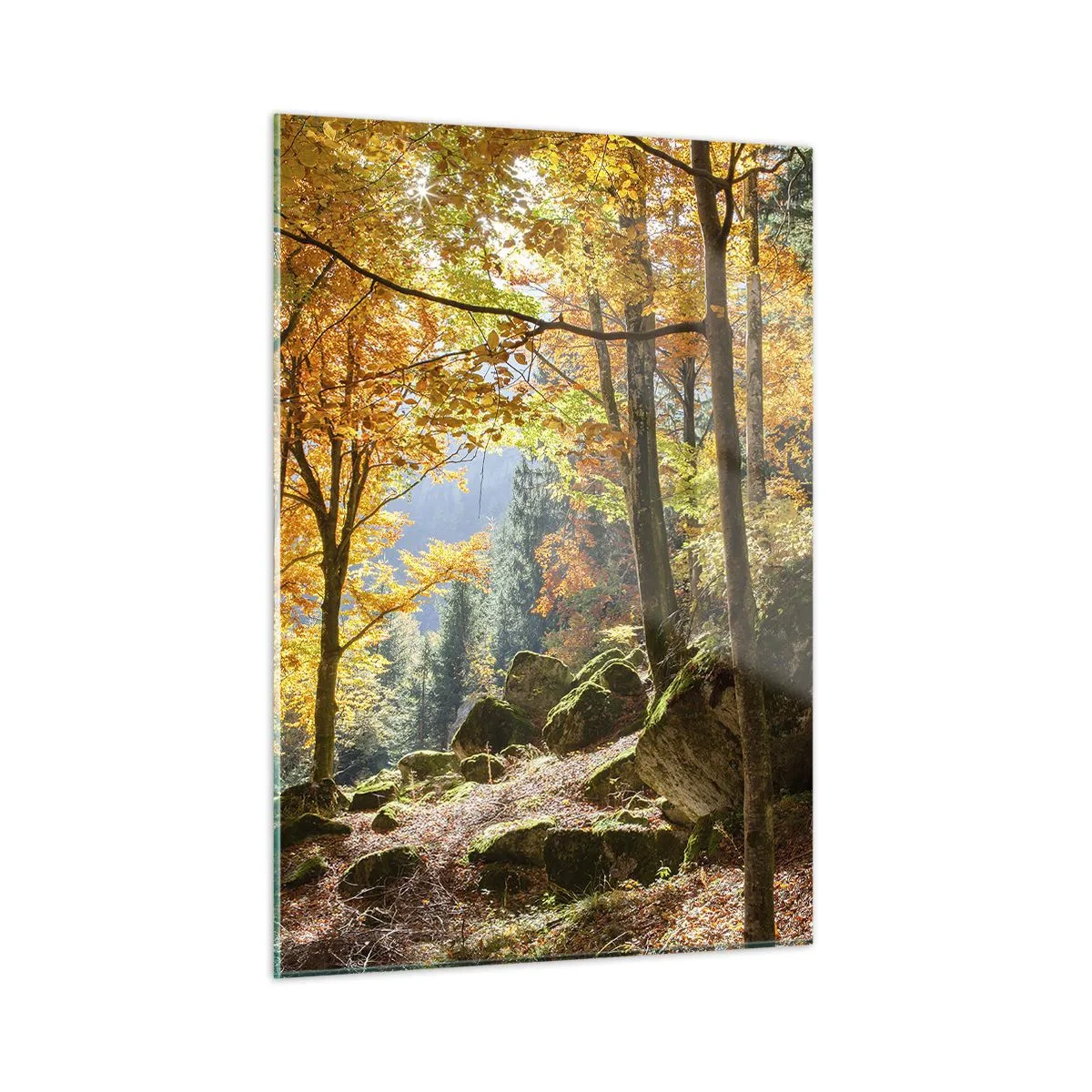 Obraz na skle - Čas na odpočinok - 50x70 cm