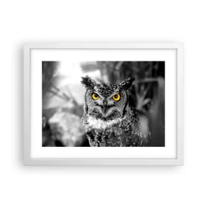 Plagát v bielom ráme - Nič sa neschová - 40x30 cm