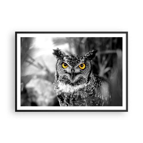 Plagát v čiernom ráme - Nič sa neschová - 100x70 cm