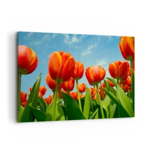 Obraz na plátne - Okrem blankytného neba nič v živote nepotrebujú - 100x70 cm