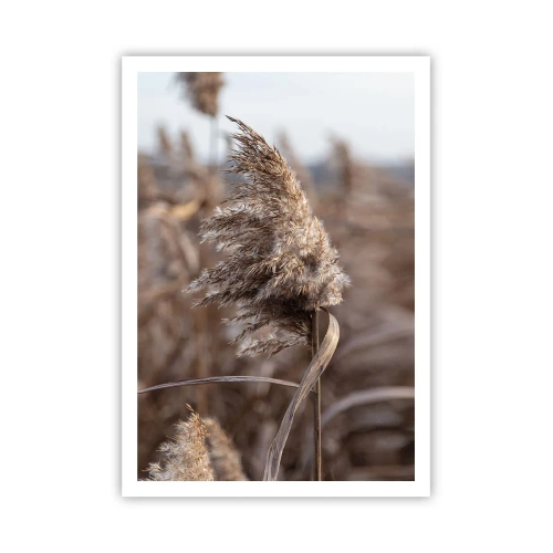 Plagát - Čas odletieť s vetrom - 70x100 cm