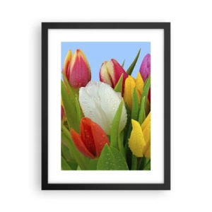 Plagát v čiernom ráme - Kvetinová dúha v kvapkách rosy - 30x40 cm