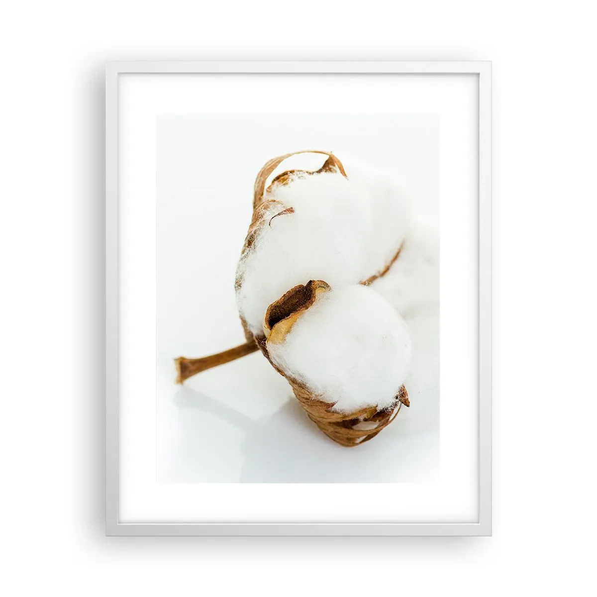 Plagát v bielom ráme - Mäkká od prírody - 40x50 cm
