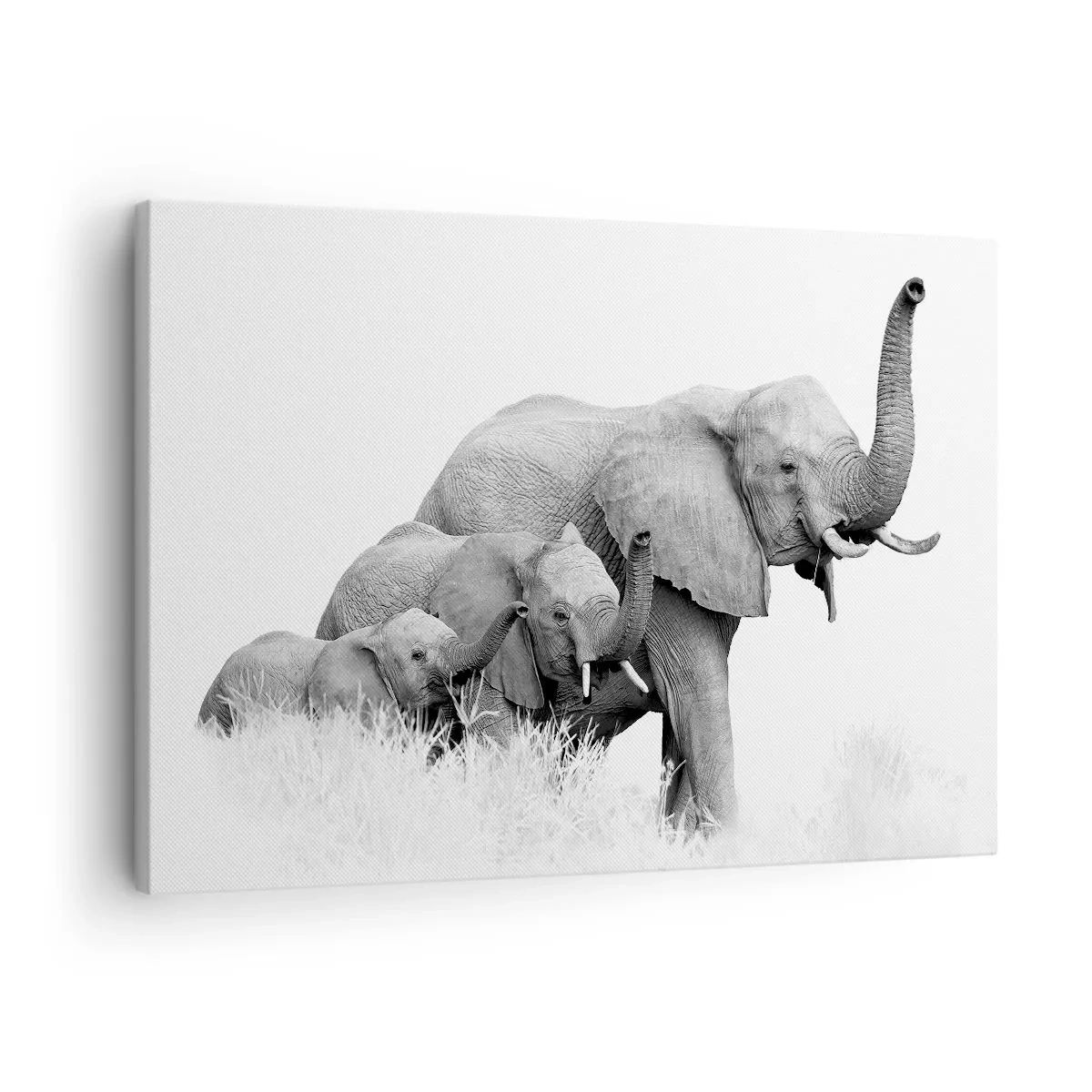 Obraz na plátne - Rodina slonov na pozadí africkej krajiny v čiernobielej farbe. - 70x50cm - Jedna, dve, tri - Moderná nástenná dekorácia do obývacej izby a spálne ARTTOR