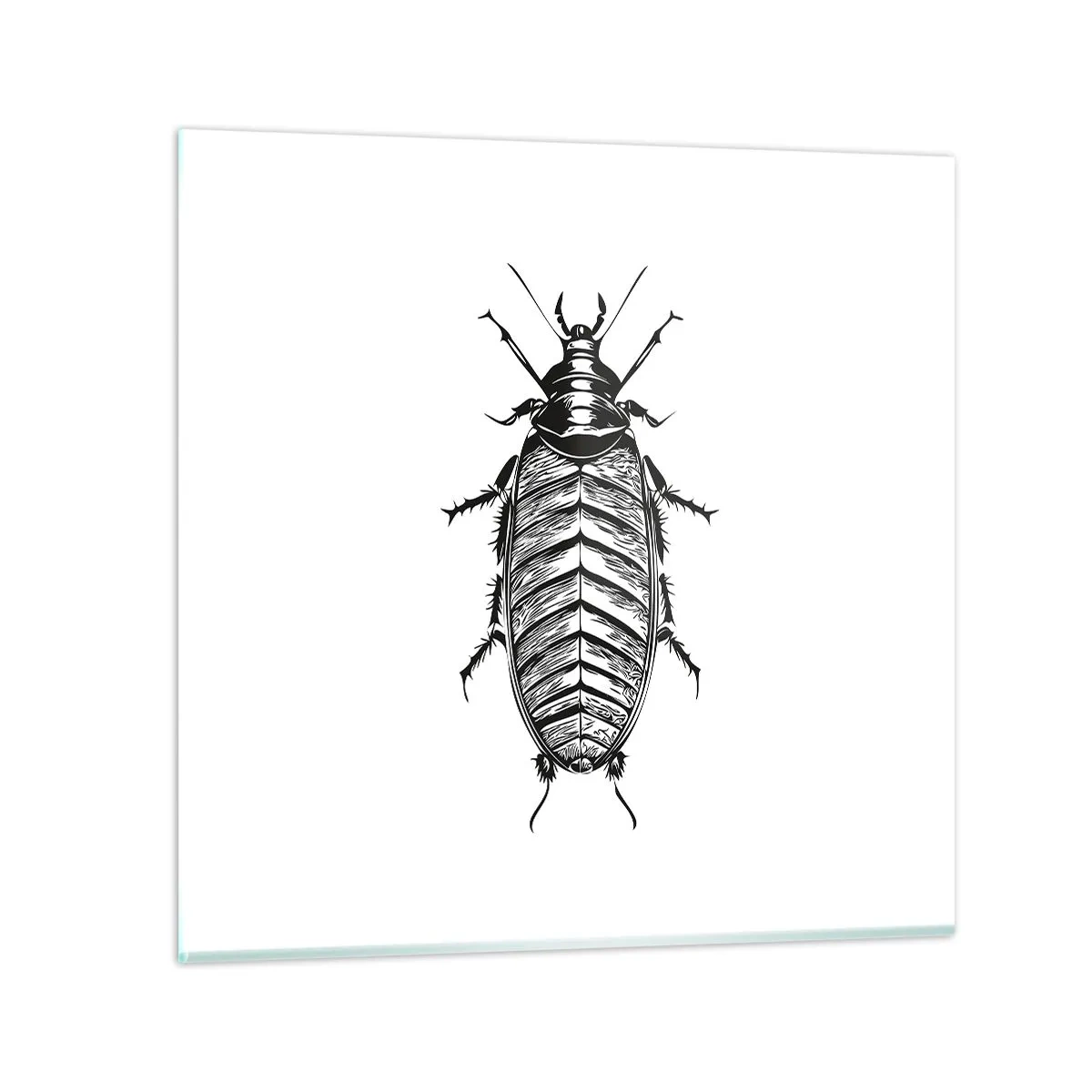 Obraz na skle - Vzorový exemplár! - 50x50 cm