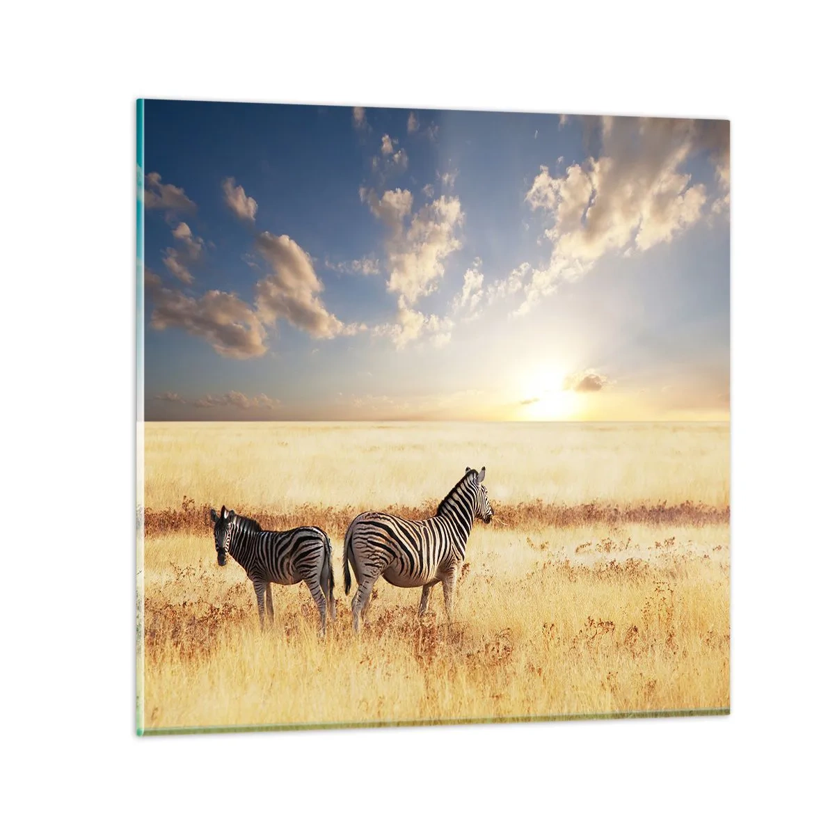 Obraz na skle - Choď odtiaľto, neruš pokoj - 60x60 cm