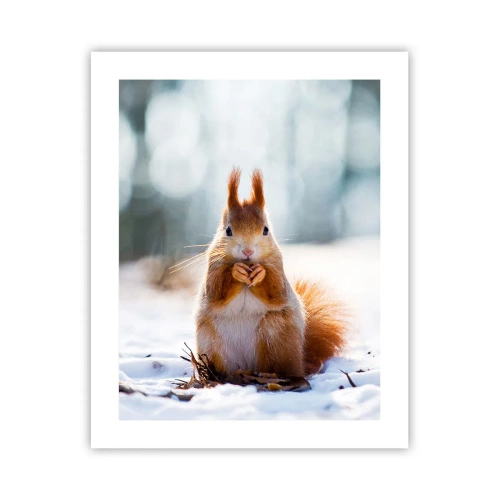 Plagát - Čo sa tak pozeráš? - 40x50 cm