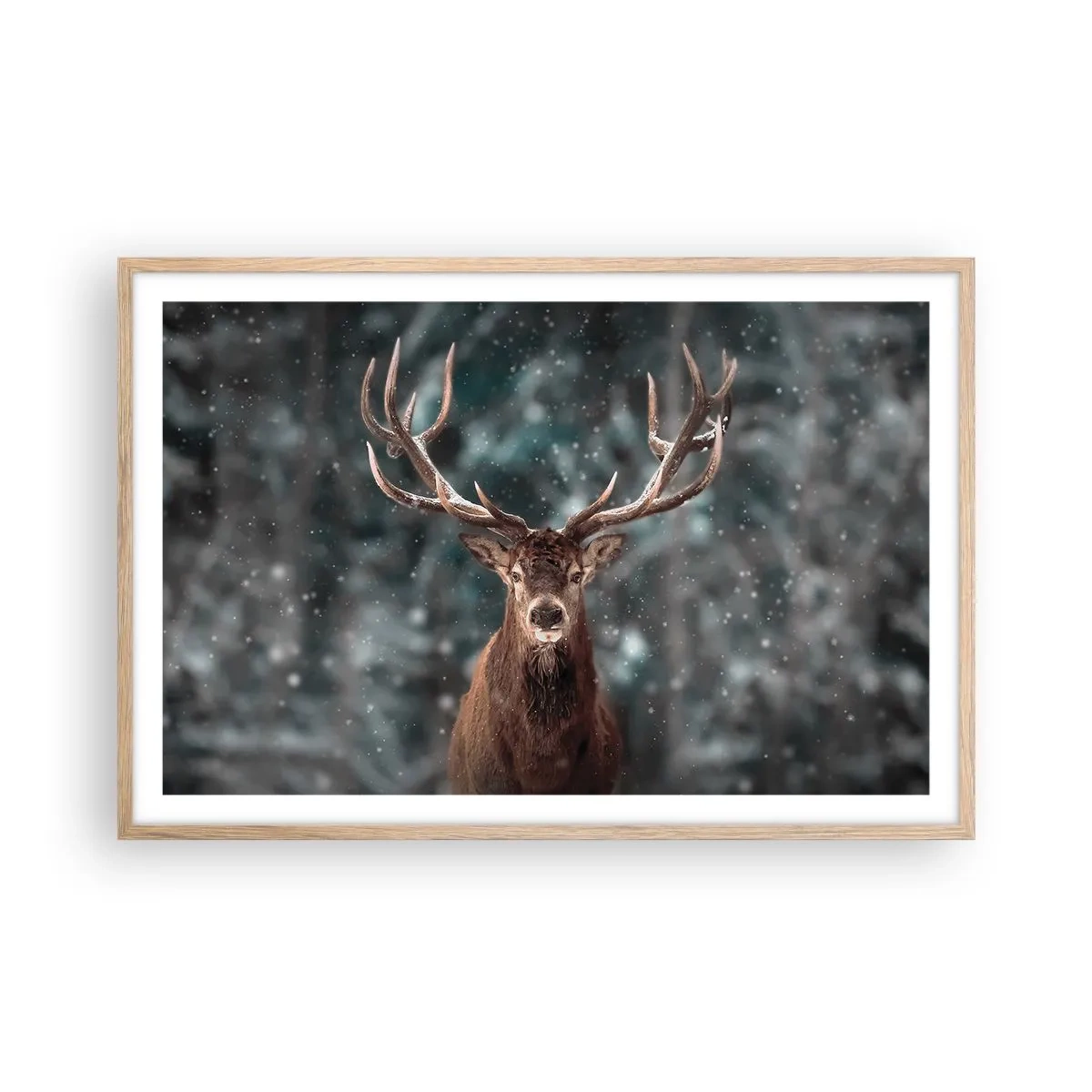 Plagát v ráme zo svetlého duba - Skutočný kráľ lesa - 91x61 cm
