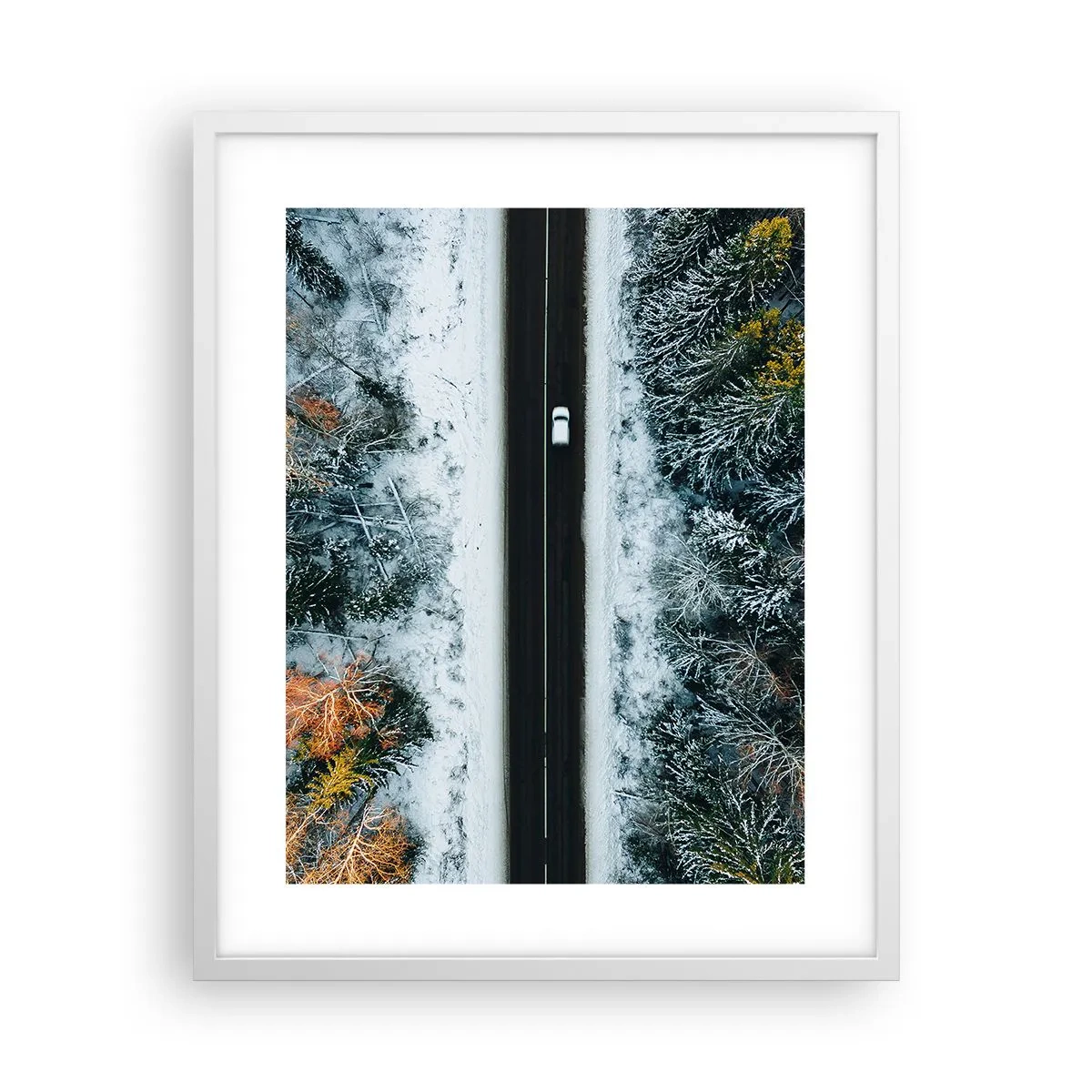 Plagát v bielom ráme - Cez zimný les - 40x50 cm