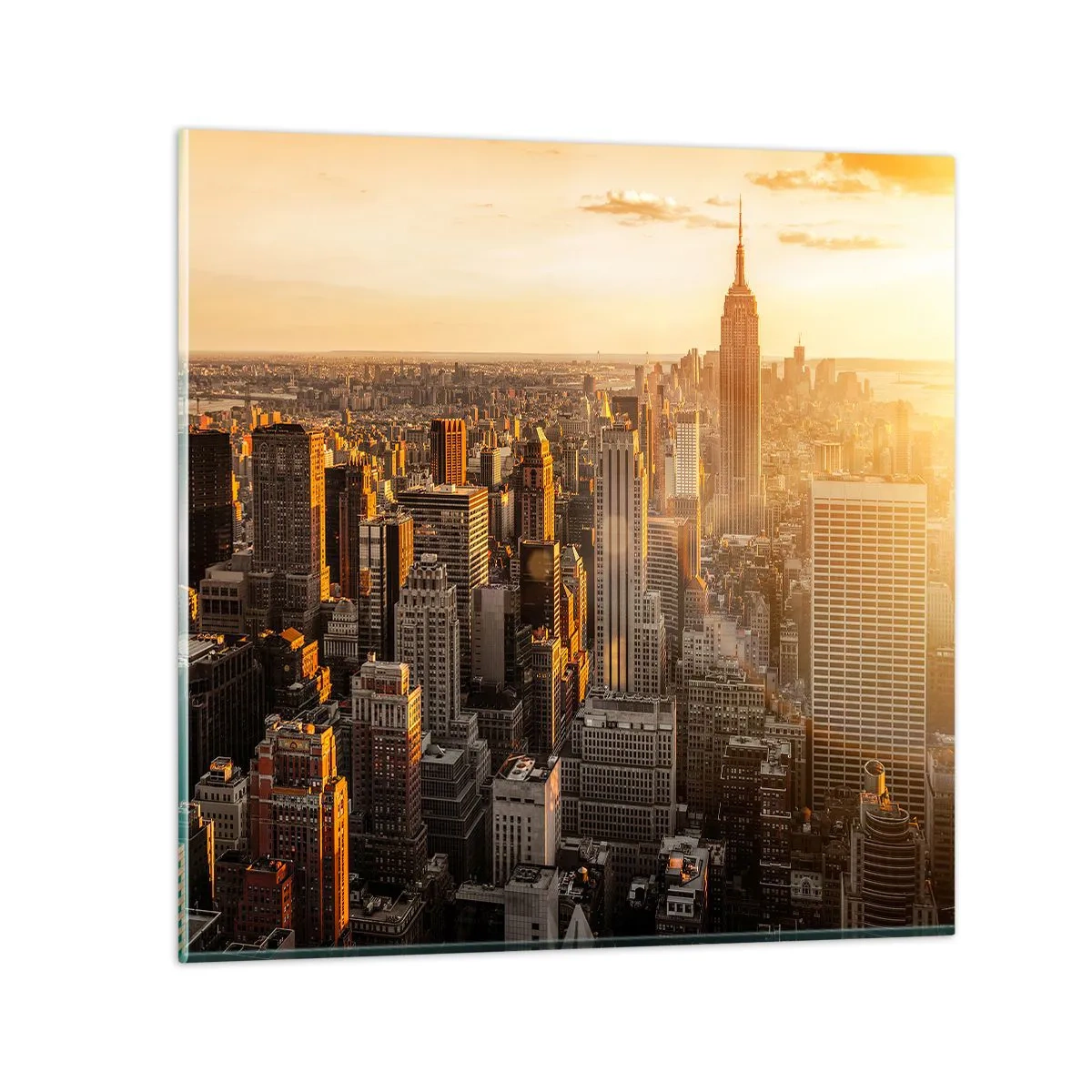 Obraz na skle - Rast na slnku - 60x60 cm