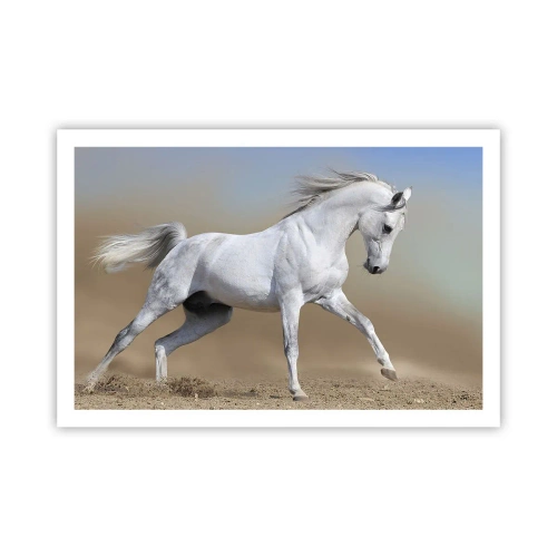 Plagát - Najkrajšia arabská rozprávka - 91x61 cm