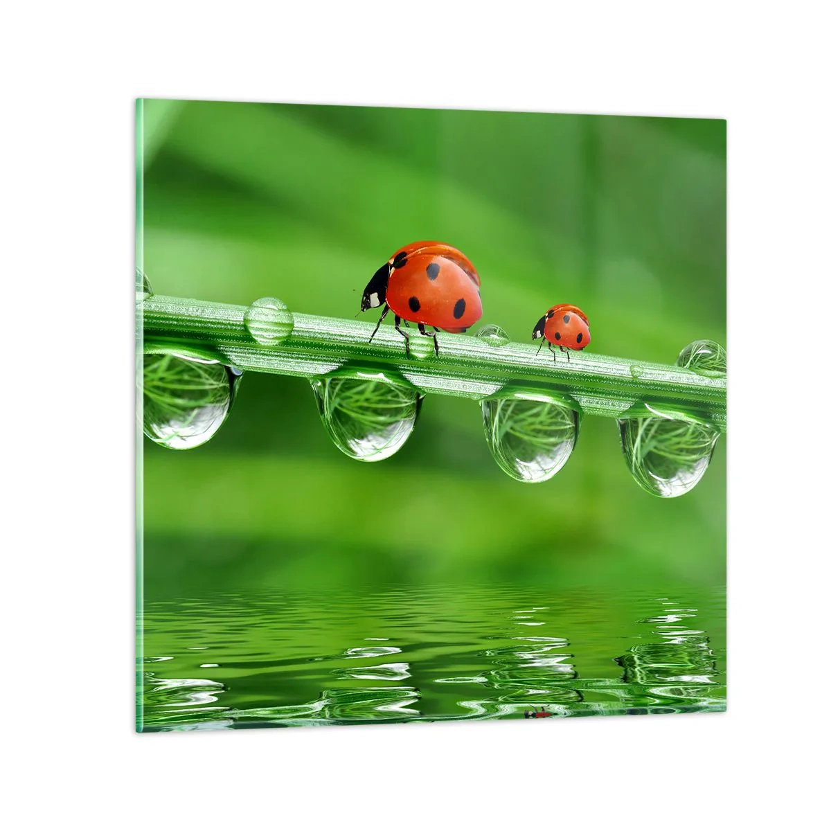 Obraz na skle - Na cestách celé leto - 60x60 cm