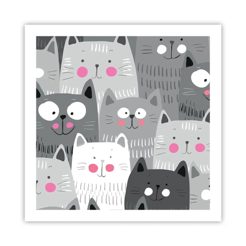 Plagát - Mačací svet - 60x60 cm