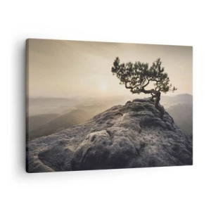 Obraz na plátne - Osamelý strom na skalnatom vrchole v slnečnom svetle - 70x50cm - Život vždy víťazí - Moderná nástenná dekorácia do obývacej izby a spálne ARTTOR