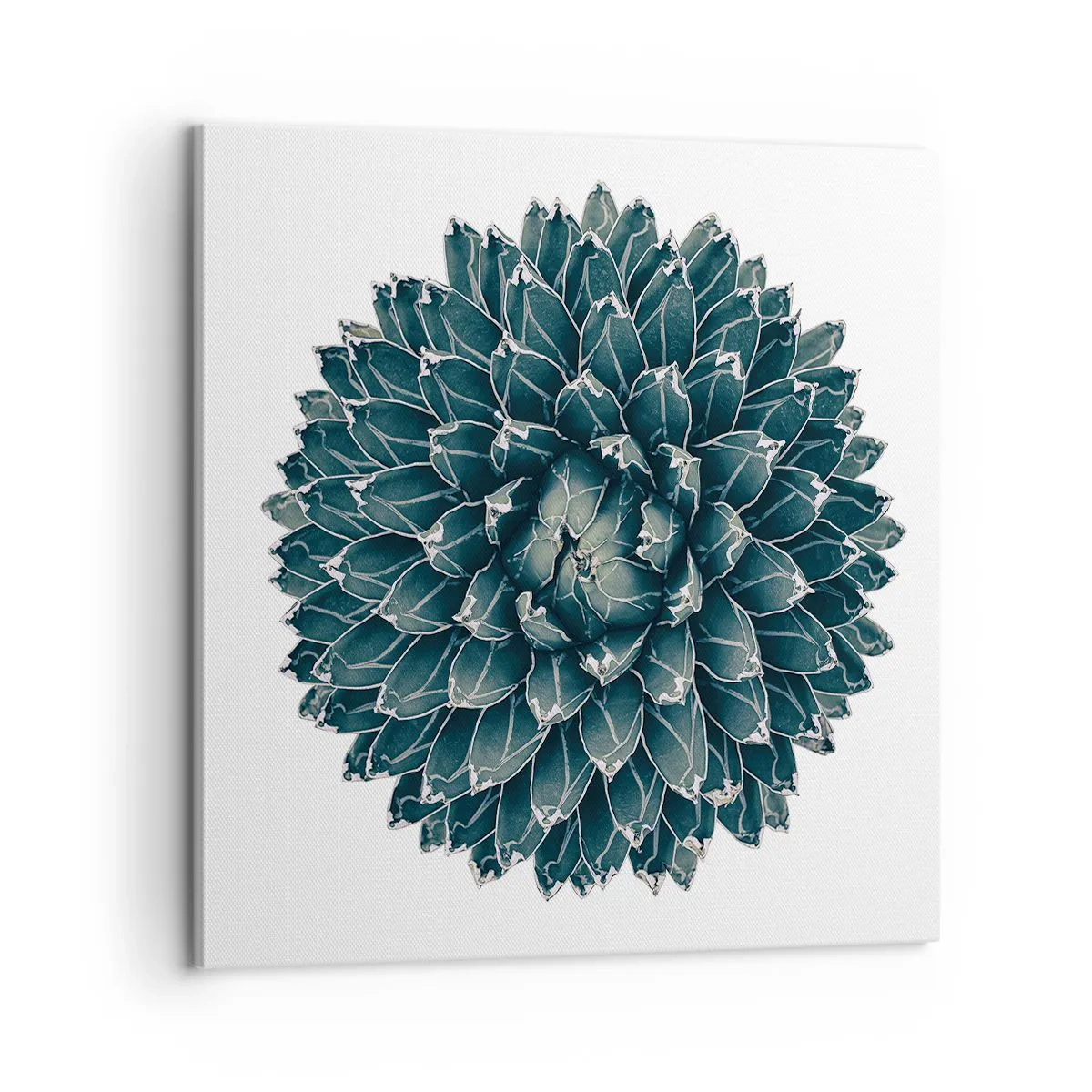 Obraz na plátne - Hviezda púšte - 60x60 cm