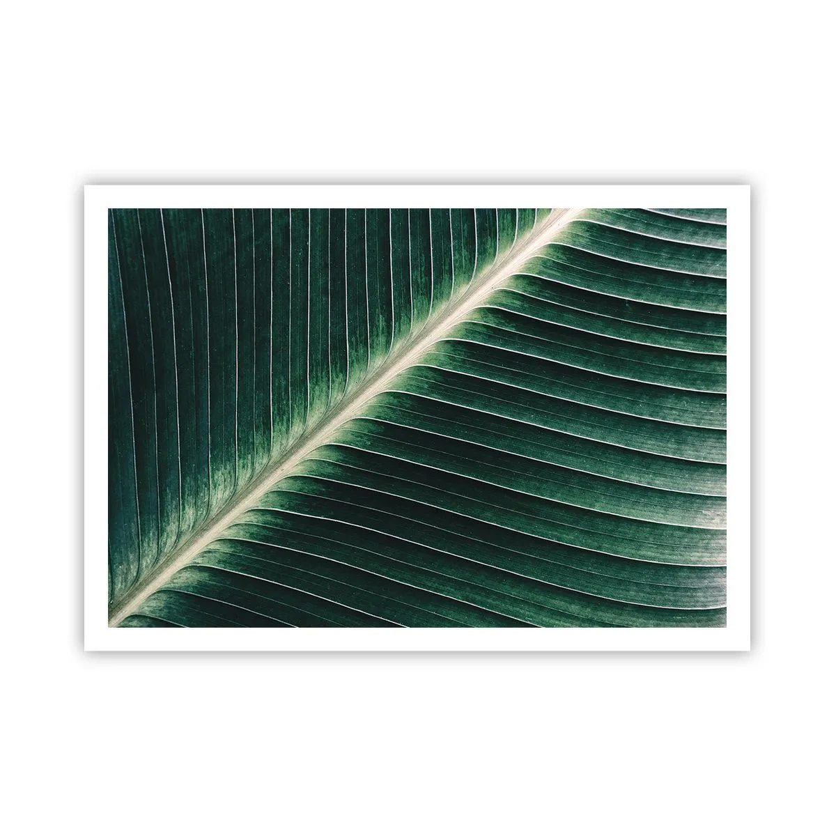 Plagát - Rytmus prírody - 100x70 cm