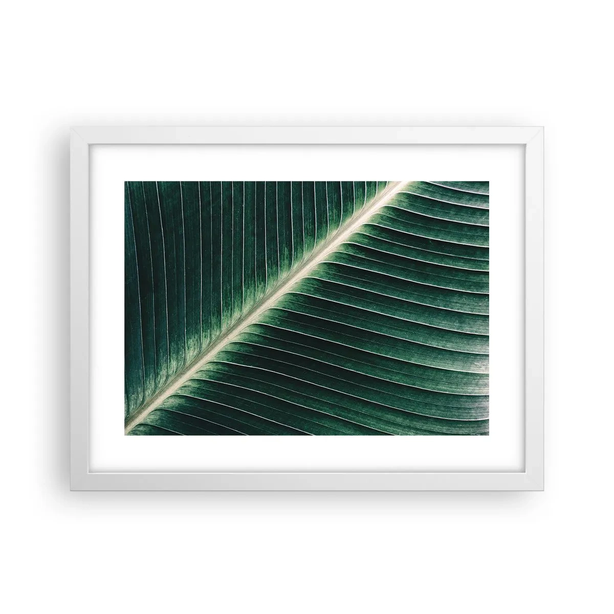 Plagát v bielom ráme - Rytmus prírody - 40x30 cm