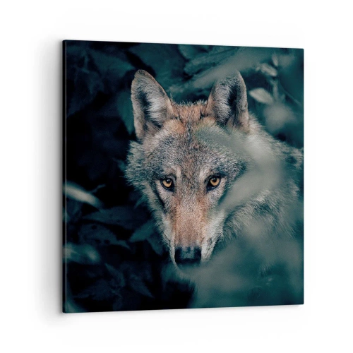 Obraz na plátne - Predátor - 50x50 cm