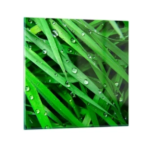 Obraz na skle - Hrajte na zelenú - 70x70 cm